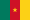 Cameroon Passion Chicks